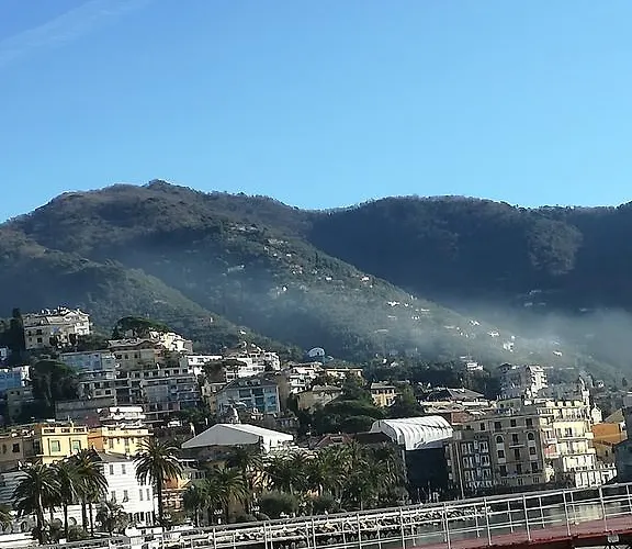 Di Enrico